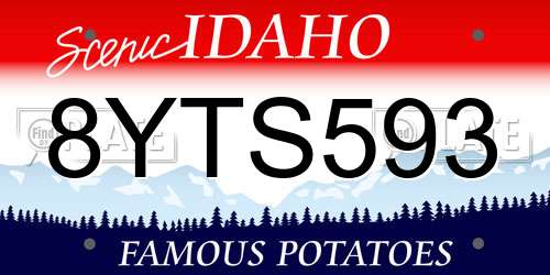 8YTS593 Idaho License Plate