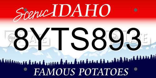 8YTS893 Idaho License Plate