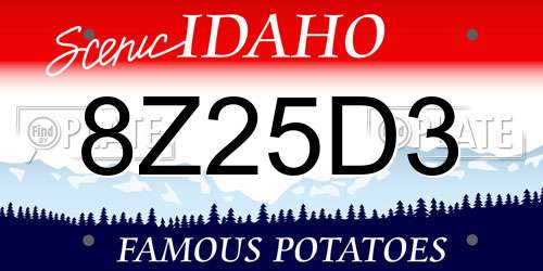 8Z25D3 Idaho License Plate