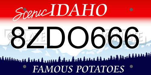 8ZDO666 Idaho License Plate