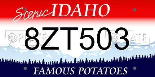 8ZT503 Idaho License Plate