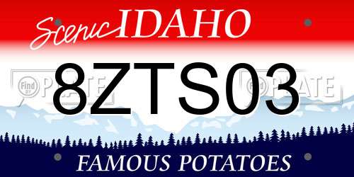 8ZTS03 Idaho License Plate