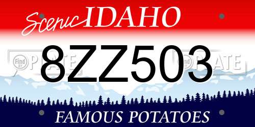 8ZZ503 Idaho License Plate