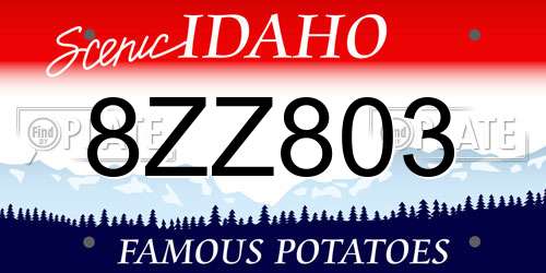 8ZZ803 Idaho License Plate