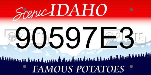 90597E3 Idaho License Plate