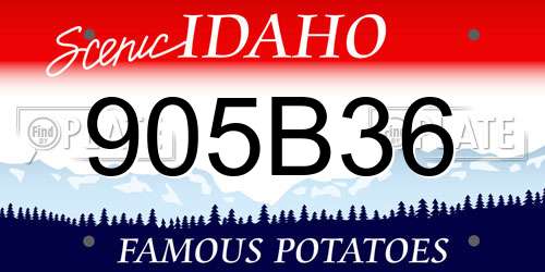 905B36 Idaho License Plate