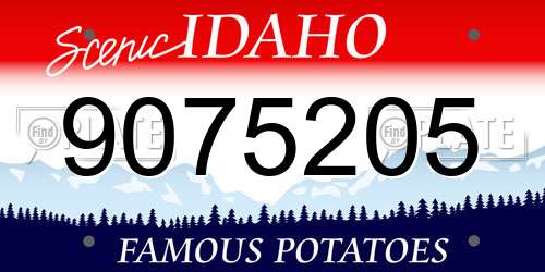 9075205 Idaho License Plate
