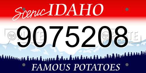 9075208 Idaho License Plate