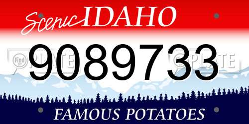 9089733 Idaho License Plate