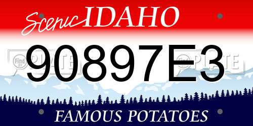 90897E3 Idaho License Plate