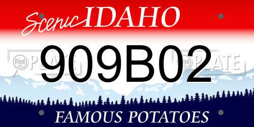 909B02 Idaho License Plate