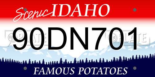 90DN701 Idaho License Plate