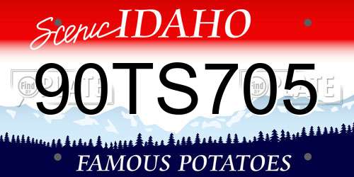 90TS705 Idaho License Plate