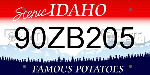 90ZB205 Idaho License Plate