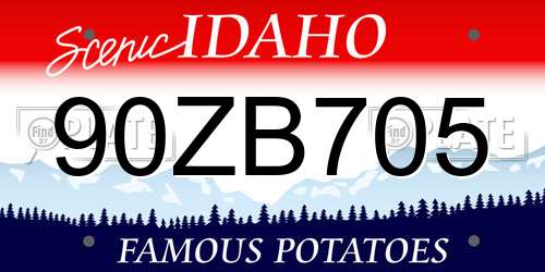 90ZB705 Idaho License Plate