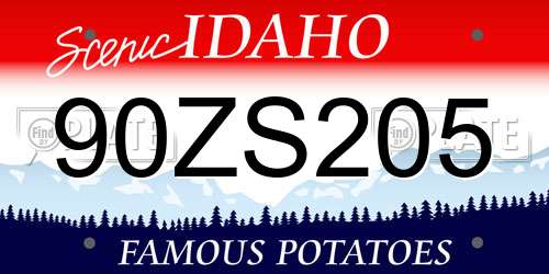 90ZS205 Idaho License Plate