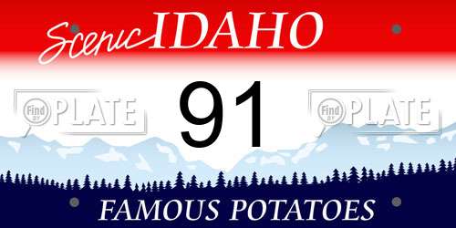91 Idaho License Plate