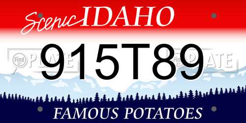 915T89 Idaho License Plate