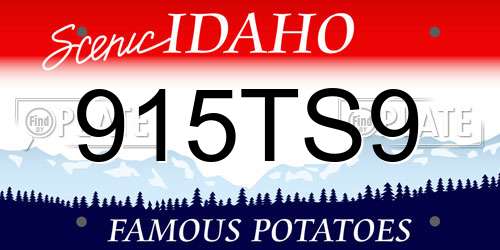 915TS9 Idaho License Plate
