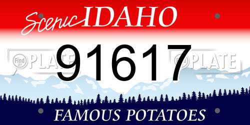 91617 Idaho License Plate