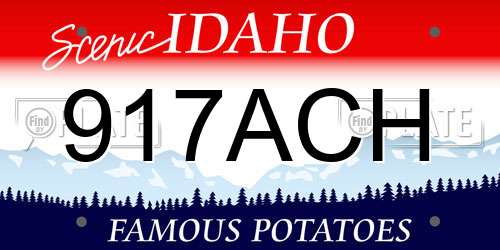 917ACH Idaho License Plate