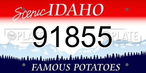 91855 Idaho License Plate
