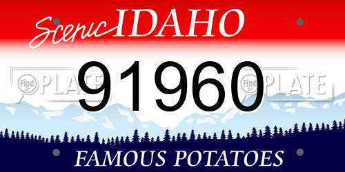 91960 Idaho License Plate