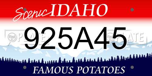 925A45 Idaho License Plate
