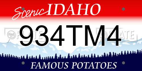 934TM4 Idaho License Plate