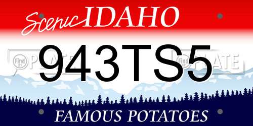 943TS5 Idaho License Plate