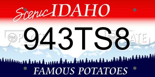 943TS8 Idaho License Plate