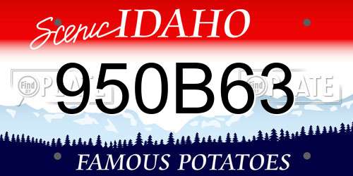 950B63 Idaho License Plate