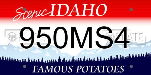950MS4 Idaho License Plate