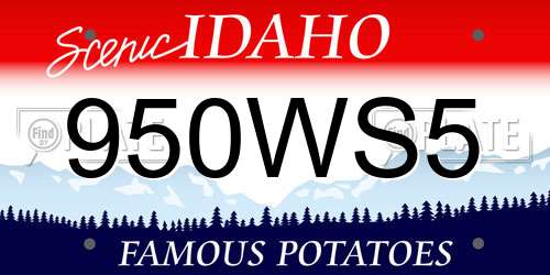 950WS5 Idaho License Plate