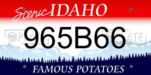 965B66 Idaho License Plate