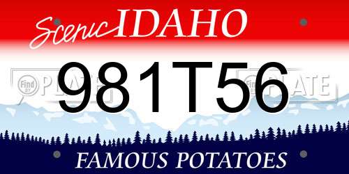 981T56 Idaho License Plate