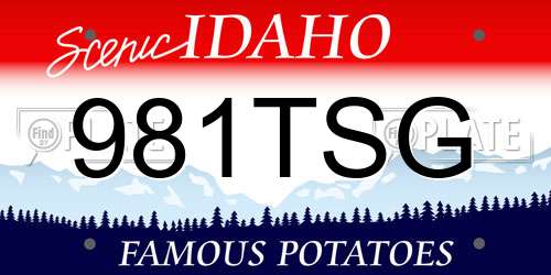 981TSG Idaho License Plate