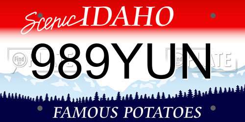989YUN Idaho License Plate