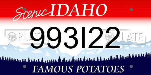 993I22 Idaho License Plate