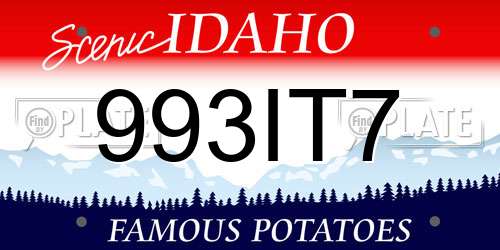 993IT7 Idaho License Plate