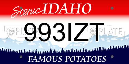 993IZT Idaho License Plate
