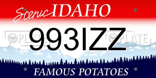 993IZZ Idaho License Plate
