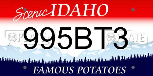 995BT3 Idaho License Plate