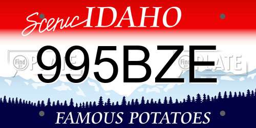 995BZE Idaho License Plate