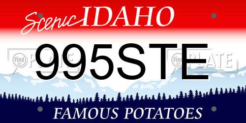 995STE Idaho License Plate
