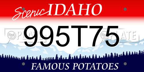 995T75 Idaho License Plate