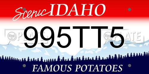 995TT5 Idaho License Plate