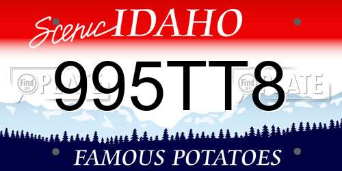 995TT8 Idaho License Plate