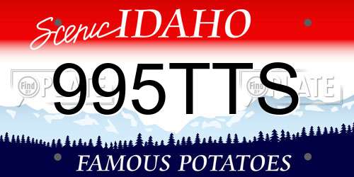 995TTS Idaho License Plate