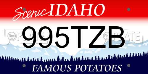 995TZB Idaho License Plate